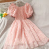 Little Daisy High Waist Dress  SS2973