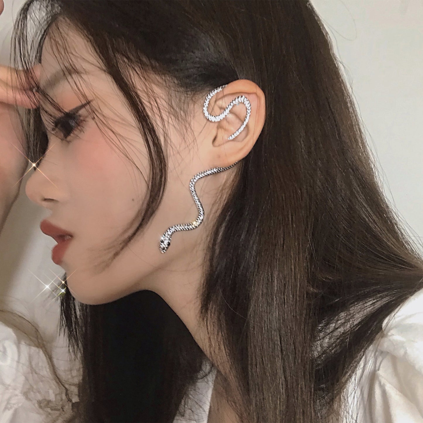 Winding snake earrings SS2426