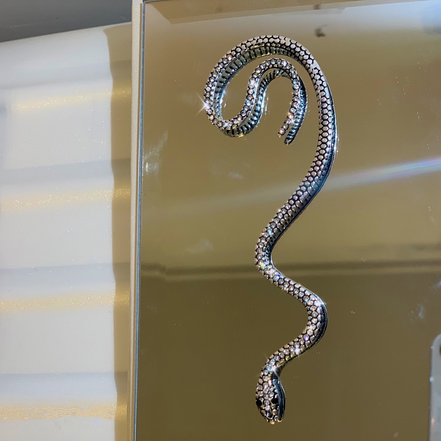 Winding snake earrings SS2426