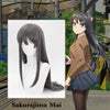Seishun Buta Yaro Series-Sakurajima Mai cosplay wig WS2211